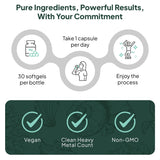 Soutien potentiel de l’immunité et du bien-être émotionnel au quotidien Organics Ocean