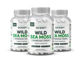 Organics Ocean gélules mousse de mer: vue des capsules, énergie potentielle au quotidien.