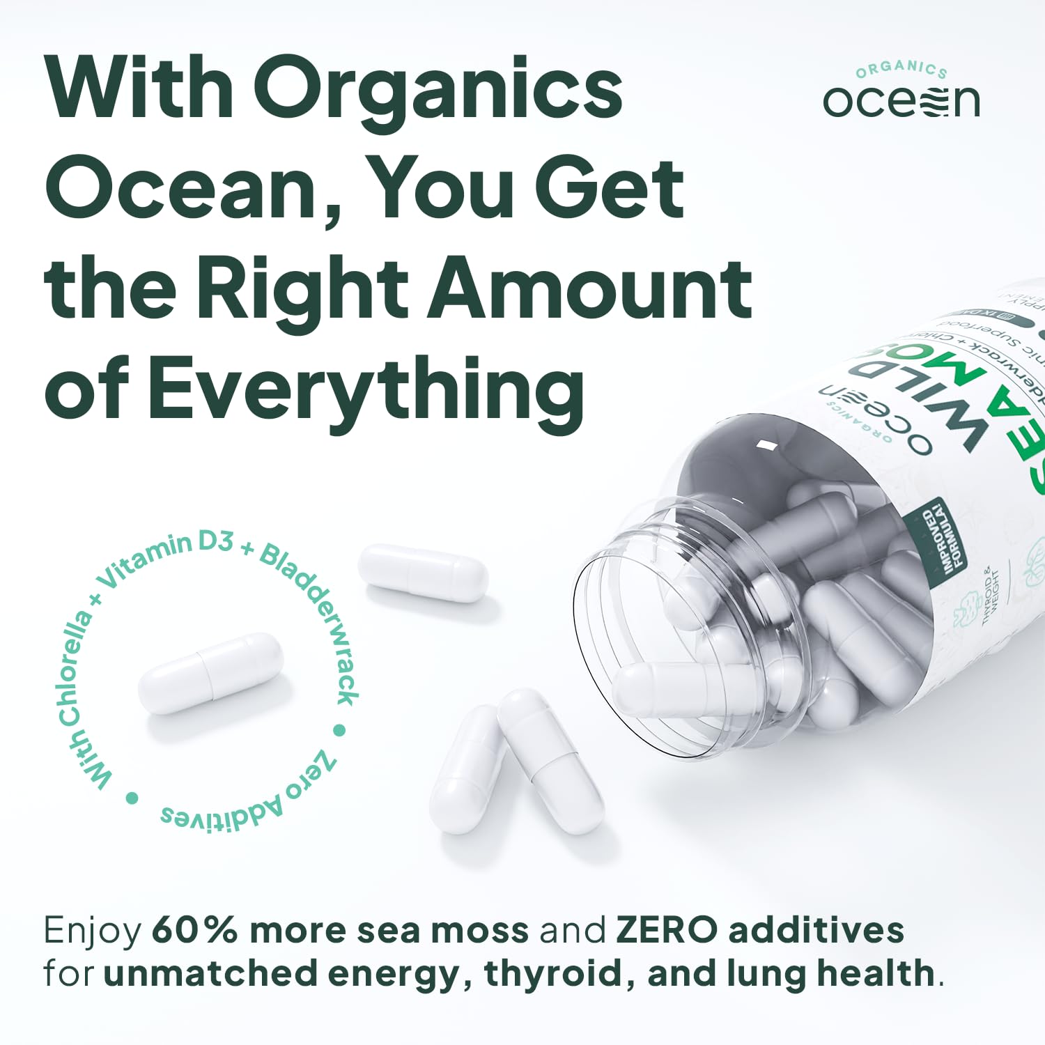 Organics Ocean Chlorella – ingrédients riches en antioxydants