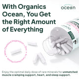 Organics Ocean : étiquette produit claire avec ingrédients et bénéfices potentiels.
