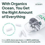 Tableau des ingrédients Organics Ocean: algues, chlorelle et vitamine D3.