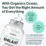 Organics Ocean Shilajit, rituel matinal simple et énergie durable