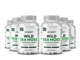 Organics Ocean Sea Moss Capsules – bouteille et ses capsules pour énergie naturelle