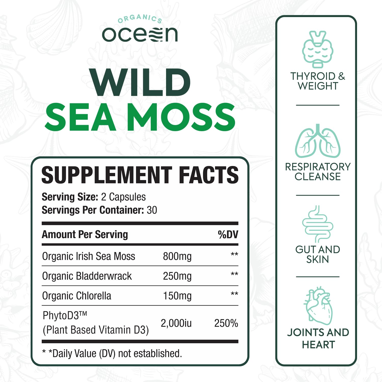 Mélange mousse de mer et varech-chlorelle Organics Ocean, ingrédients clés pour détox naturelle.