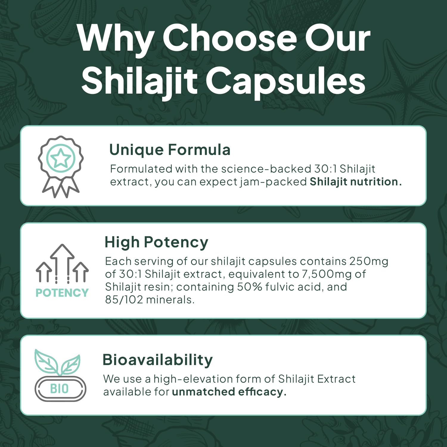 Organics Ocean Shilajit, soutien hormonal potentiel et vitalité