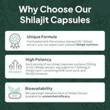 Organics Ocean Shilajit, soutien hormonal potentiel et vitalité