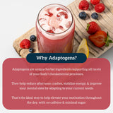Organifi Red Juice – se mélange facilement dans eau ou smoothie pour une collation saine.