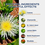 ORGANIHERBENCE gouttes-rhodiola-concentration: potentiel pour rester concentré tout au long de la journée.