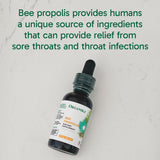 Propolis canadien utilisé dans Organika Tincture, source naturelle et fiable.