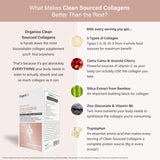 Organixx Clean-Sourced Collagen, cinq types pour un soutien global potentiel.