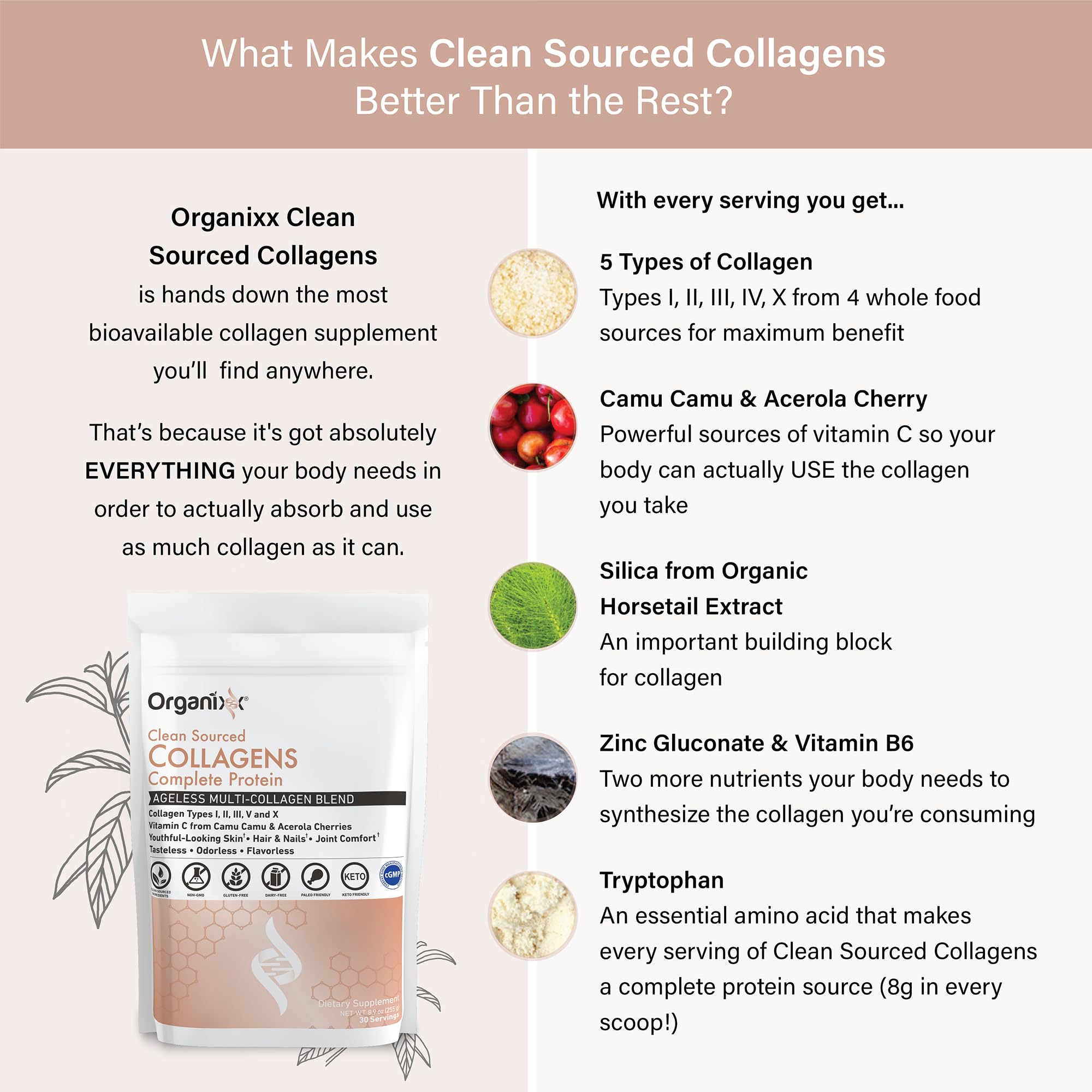 Organixx Collagène Peptides dans une boisson, absorption facilitée et soutien articulaire.