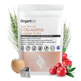 Organixx Collagène Peptides en poudre, texture fine, soutient peau et cheveux.