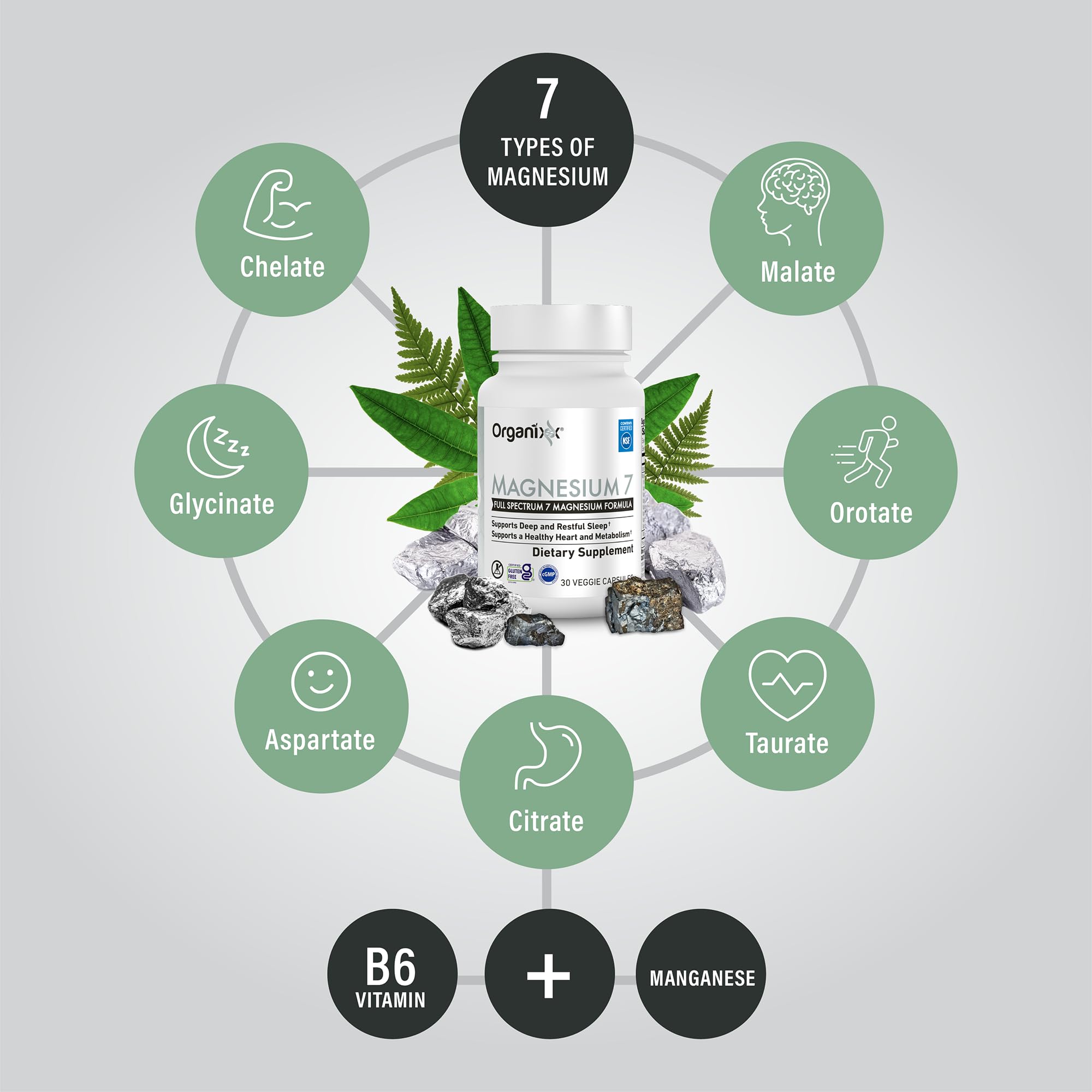 Organixx Magnésium - sept formes chélatées pour absorption optimale