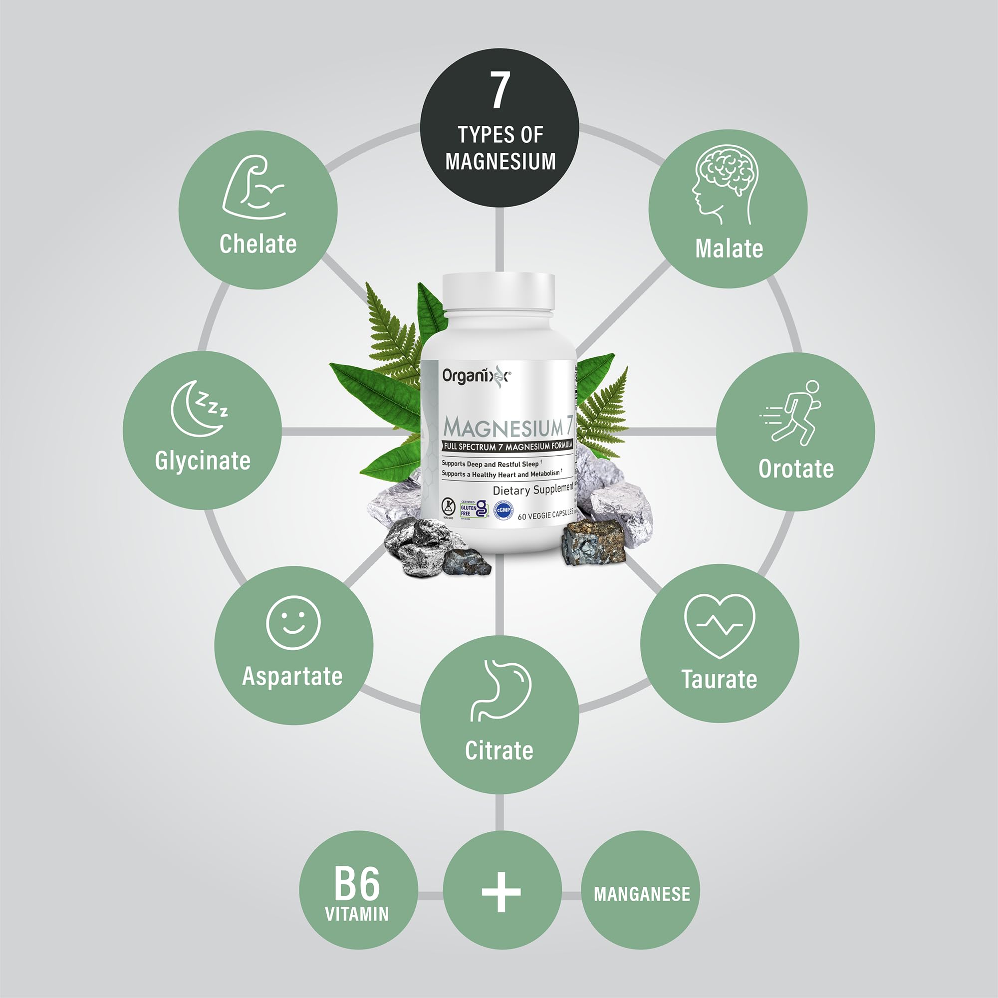 Organixx Magnésium à sept formes pour une absorption efficace.