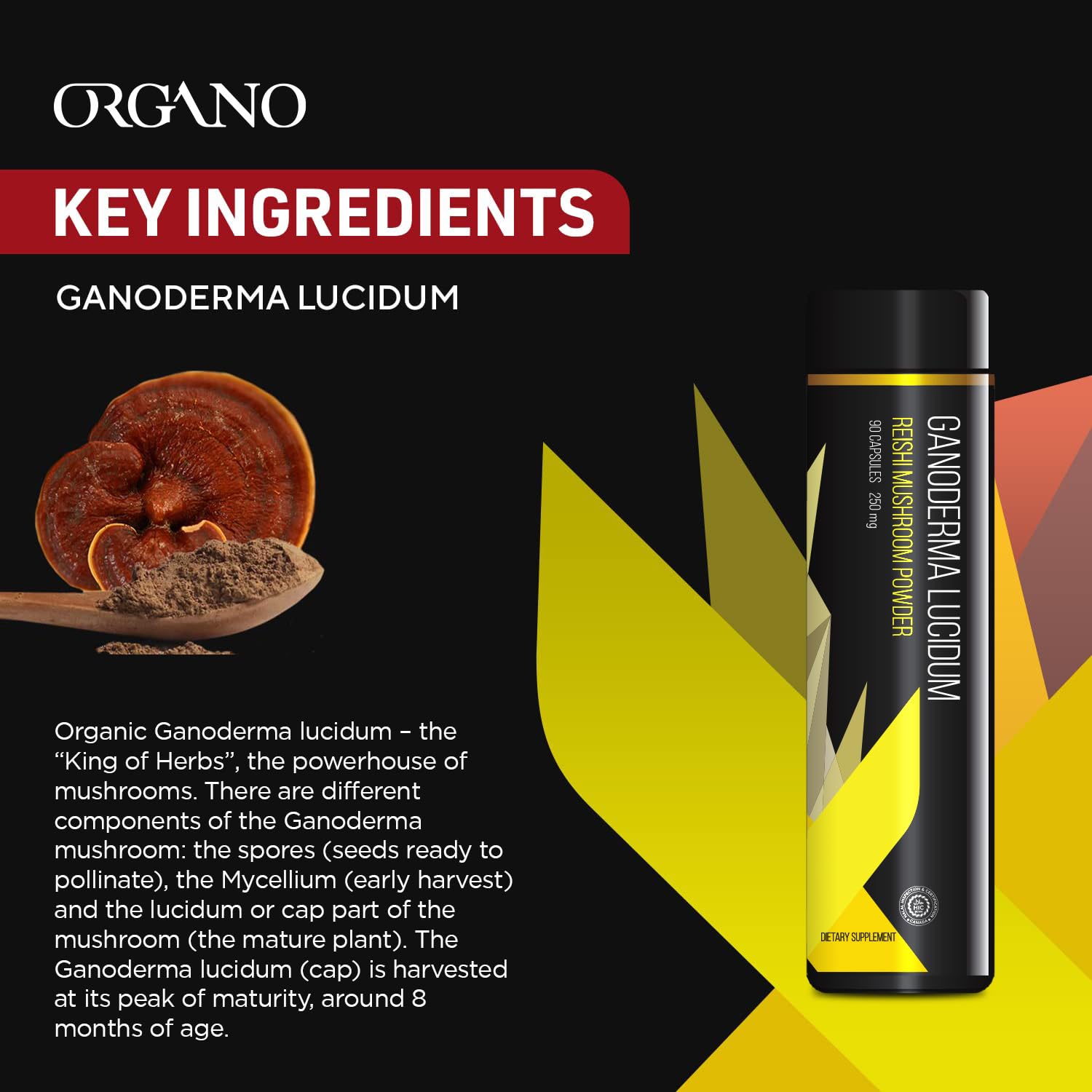 Organo OGX étui d'emballage Ganoderma lucidum: contenant naturel et informatif.