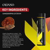 Organo OGX étui d'emballage Ganoderma lucidum: contenant naturel et informatif.
