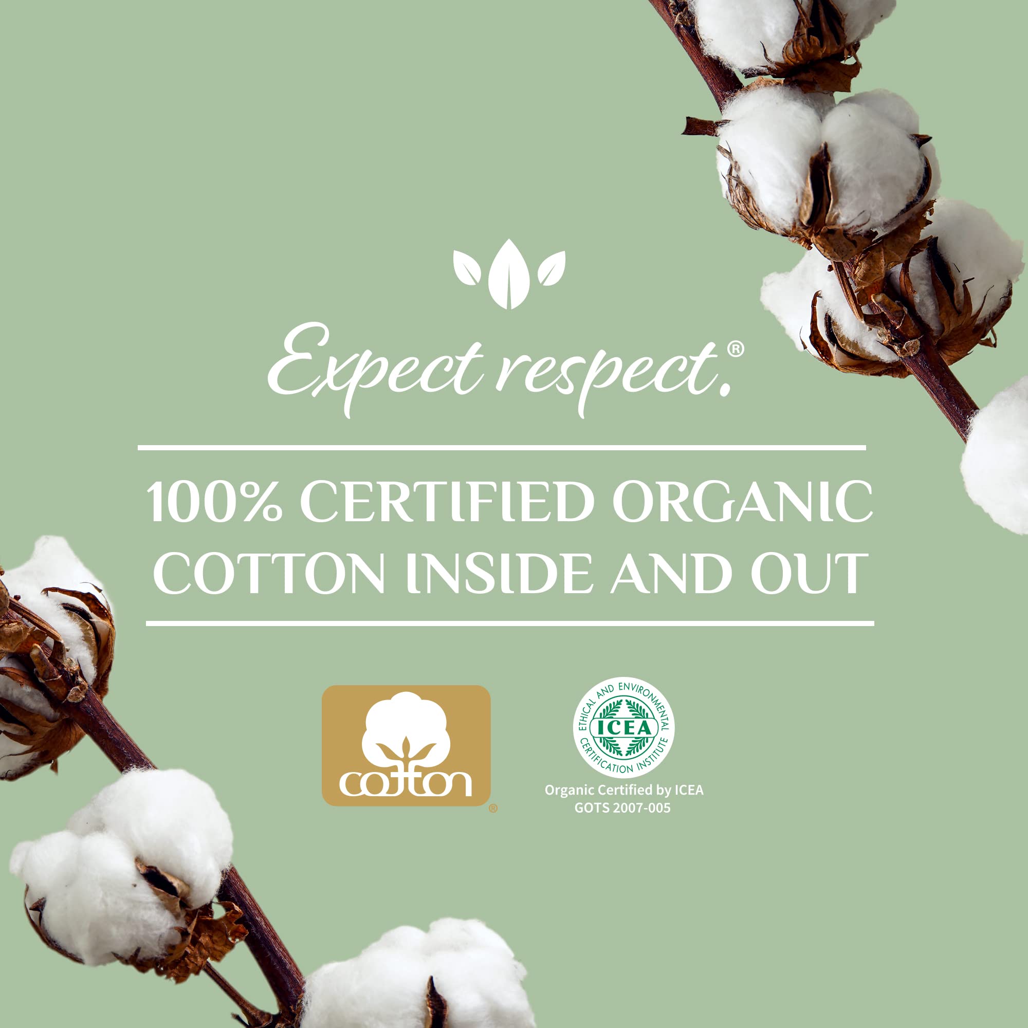 Emballage en carton Organyc, réduction du plastique et respect environnemental.