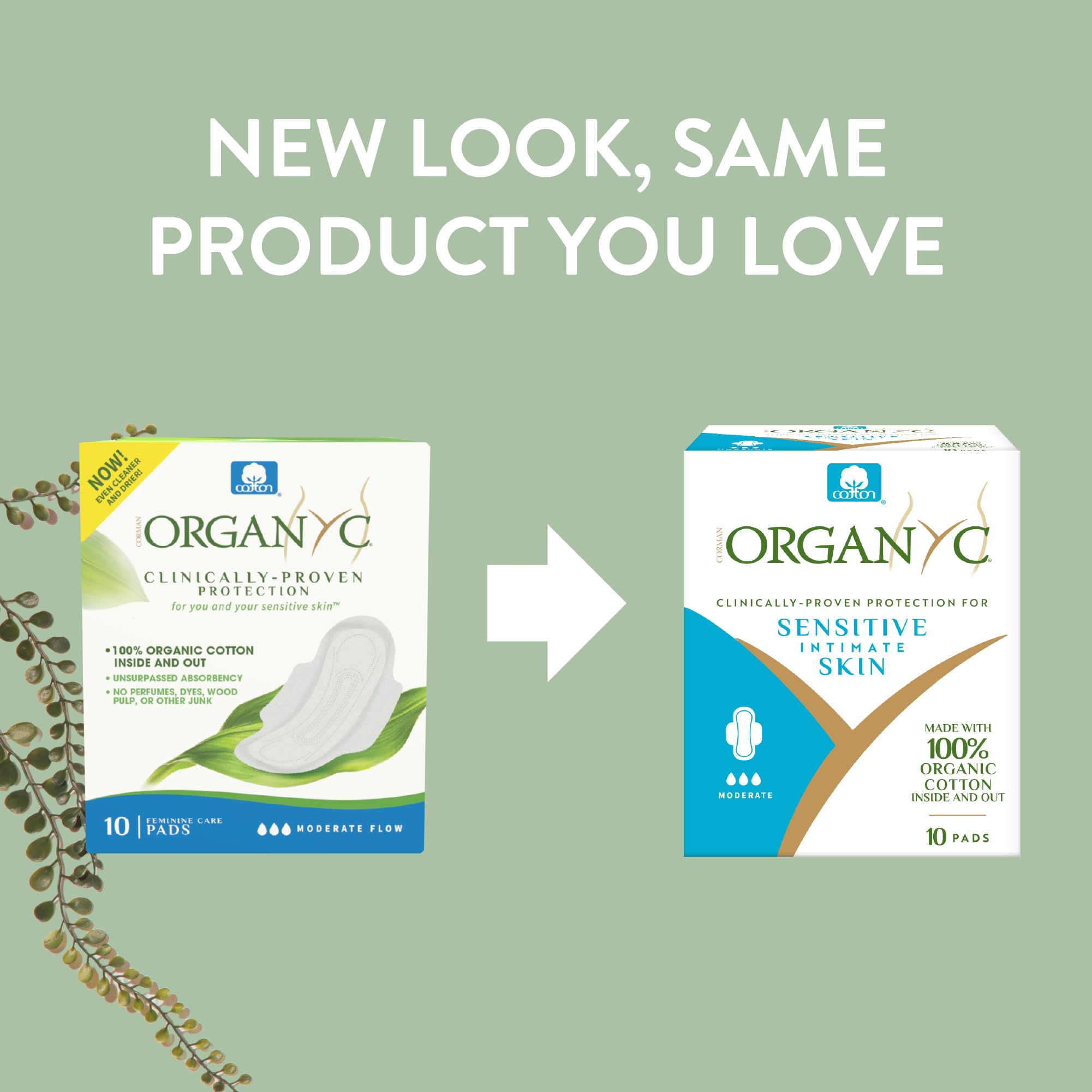 Organyc protections avec ailes, confort et sécurité durant le flux modéré
