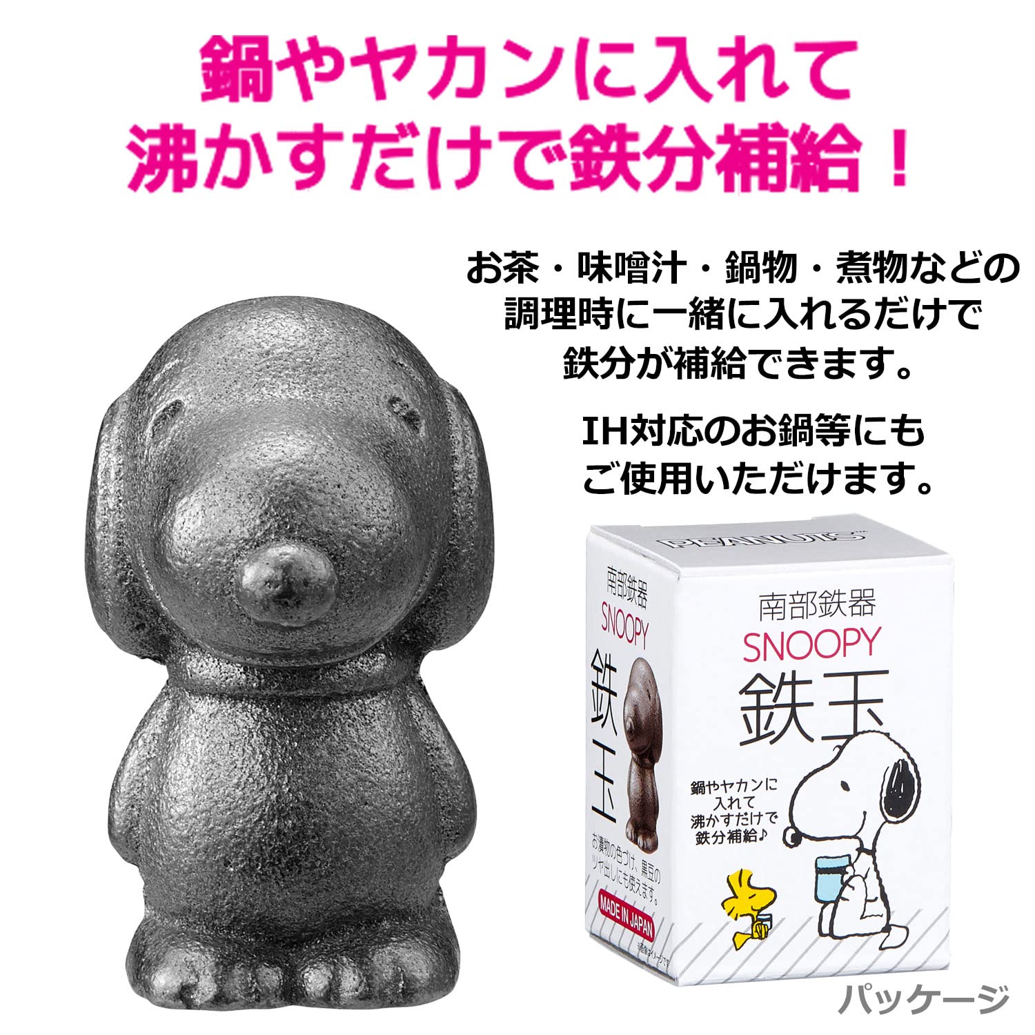 OSK TBN-1 Nambu en fonte utilisée lors de la cuisson du thé et du miso