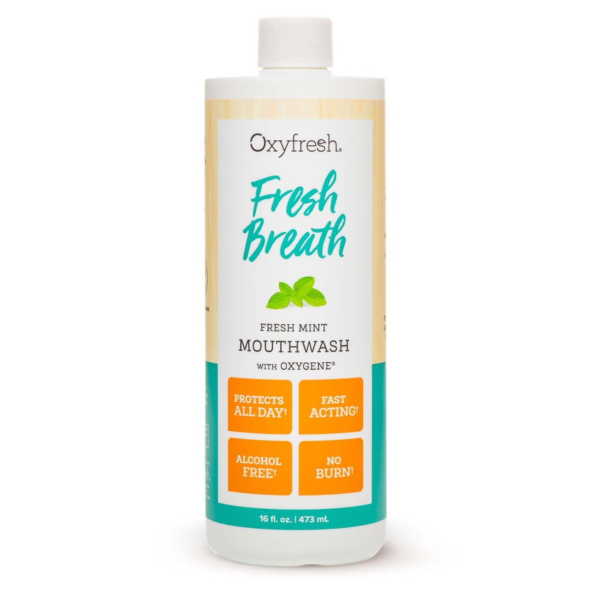 Rince-bouche Oxyfresh menthe fraîche en bouteille, haleine durable et sensation rafraîchissante.
