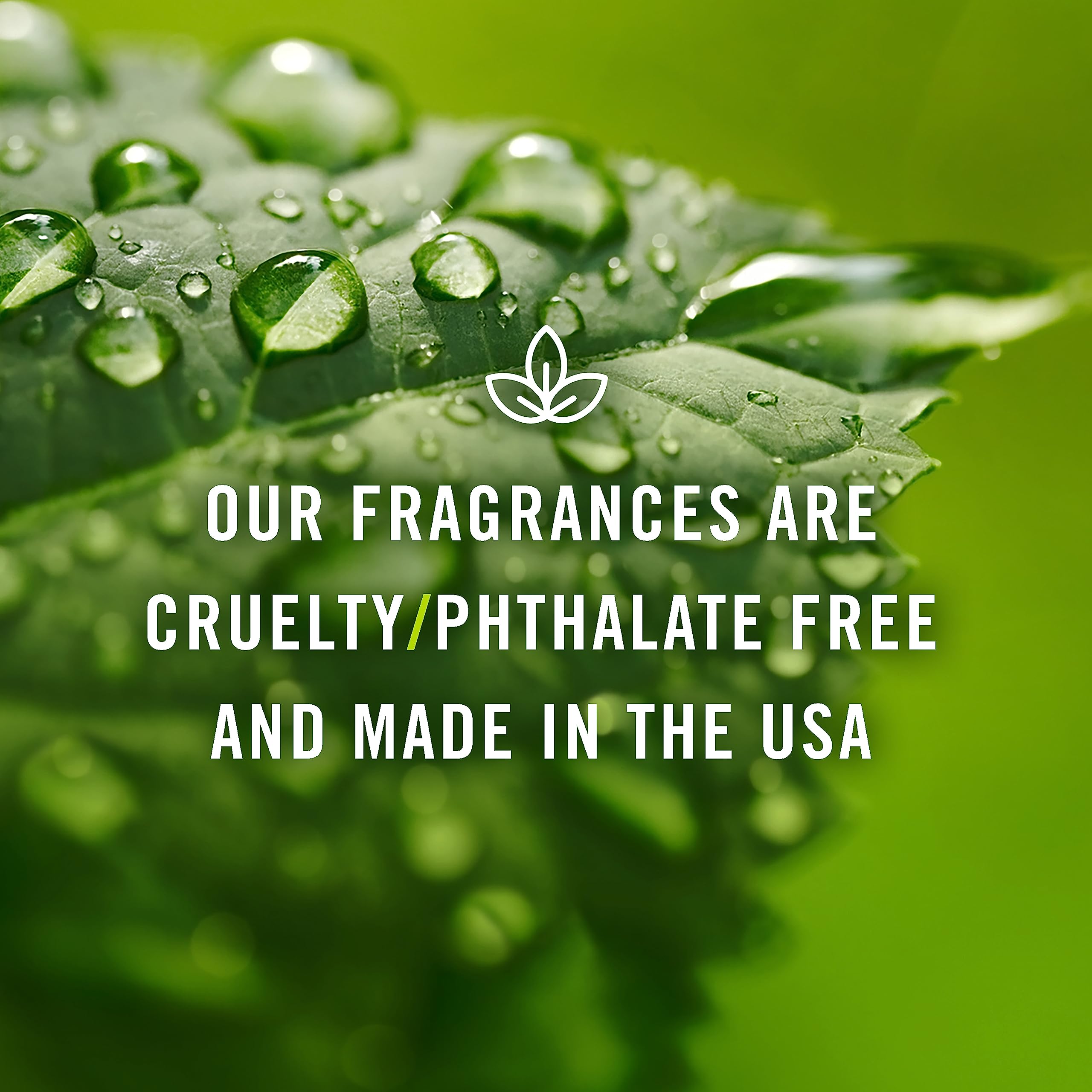 P&J Trading Bambou: notes fraîches pour bougies, diffuseurs et produits faits maison.