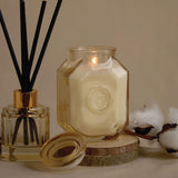 Paddywax Botanica ambiance chaleureuse avec bois de teck et épices.
