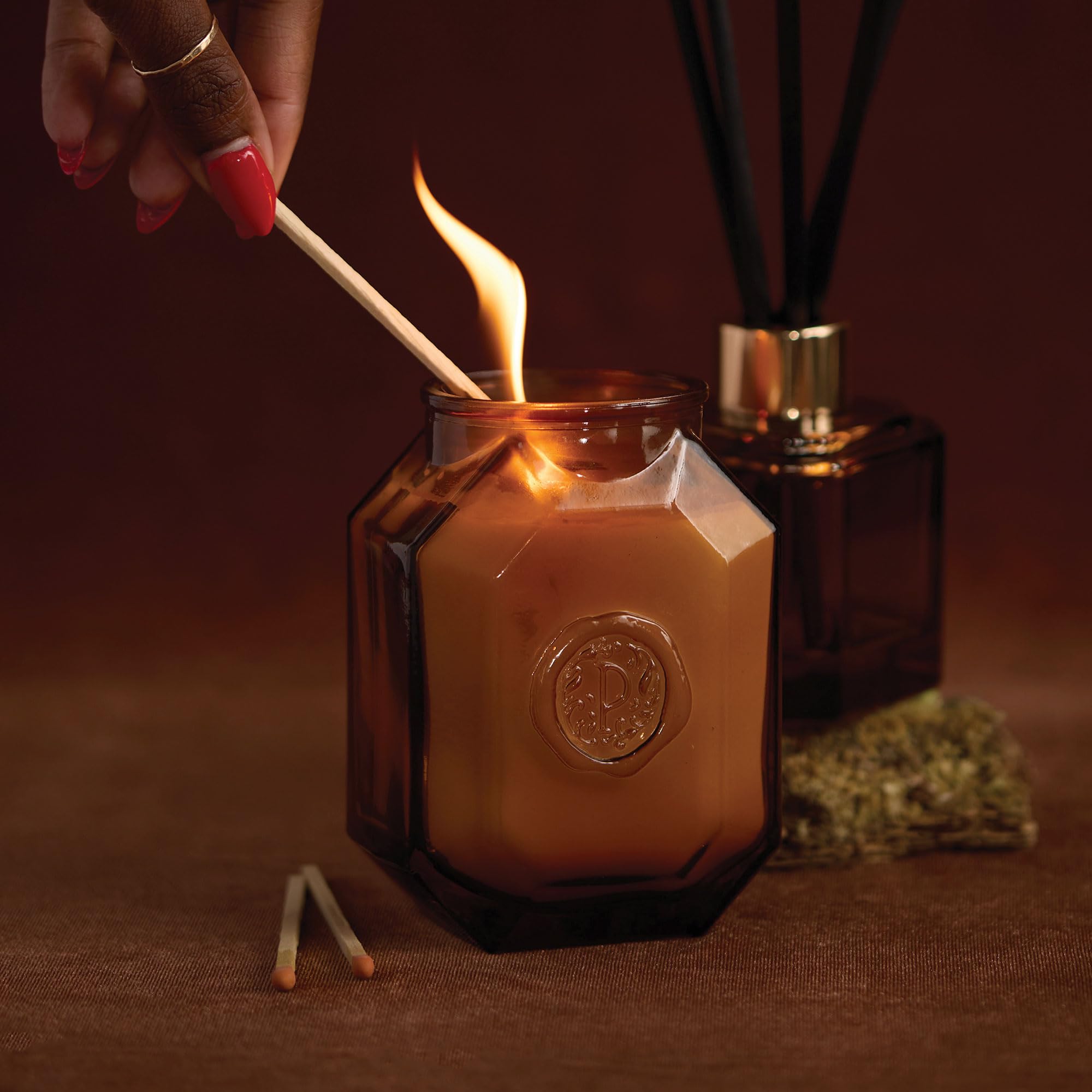 Design décoratif et élégant du pot Paddywax Botanica