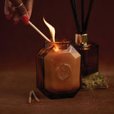 Design décoratif et élégant du pot Paddywax Botanica