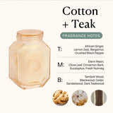 Paddywax Botanica, mèche coton et combustion propre.