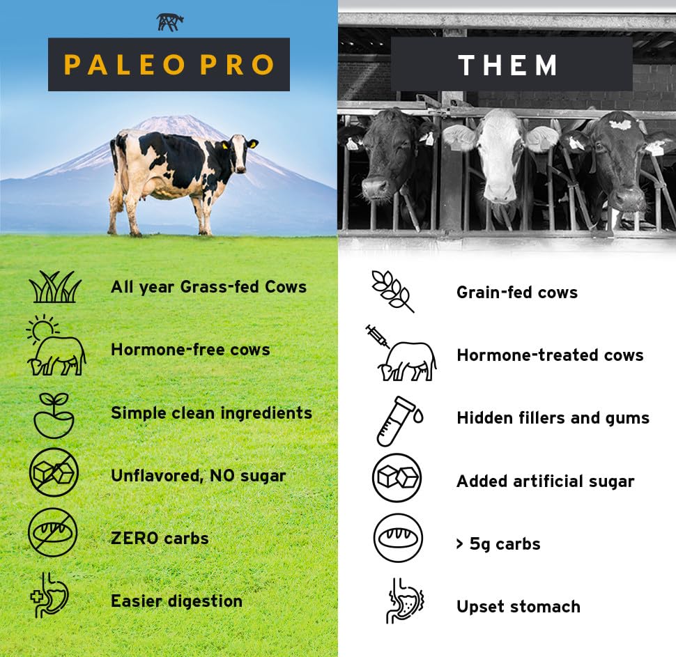 Paleo Pro protéine boeuf cafe: ajout cacao riche au café quotidien.
