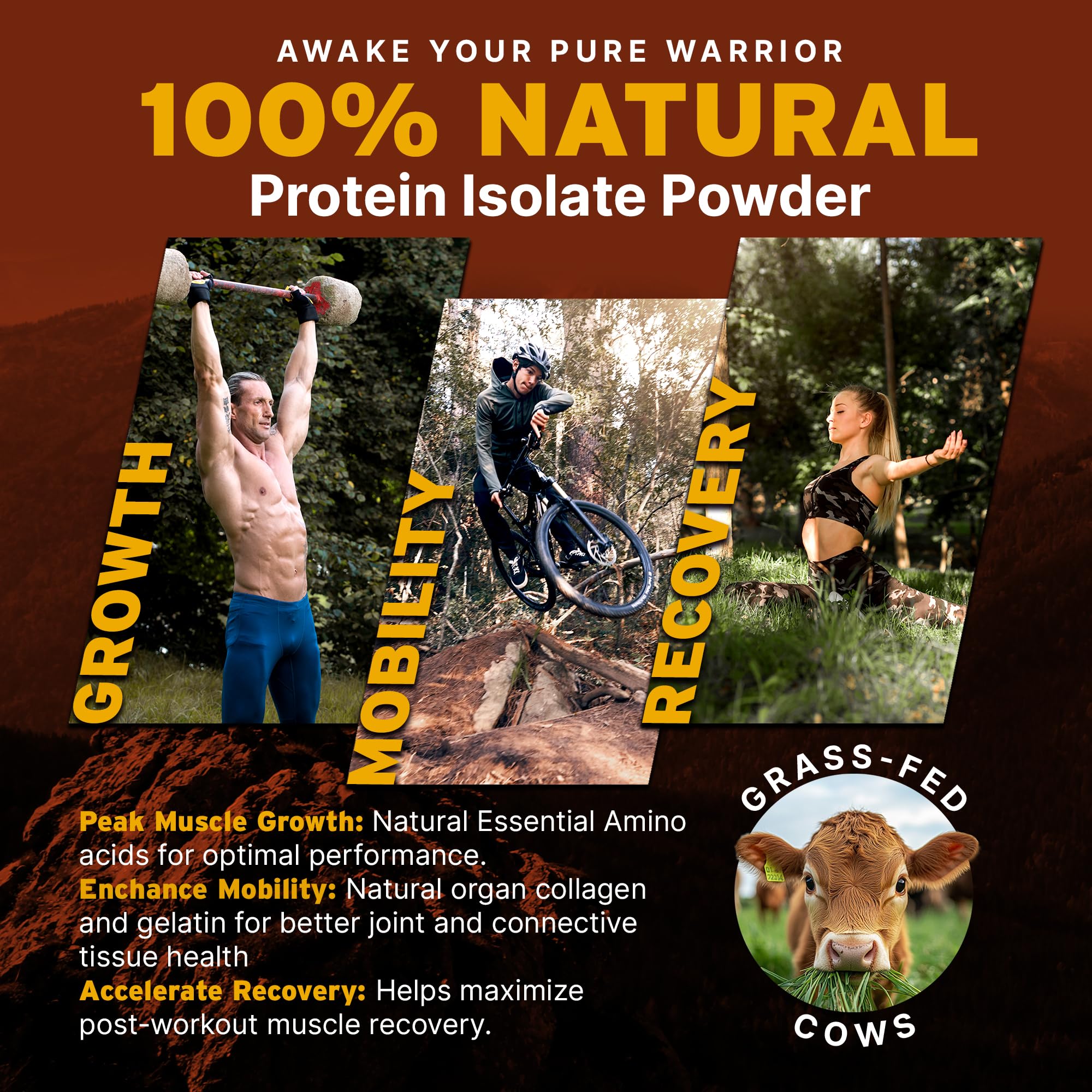 Paleo Pro protéine boeuf packaging bocal: emballage pratique et compact.