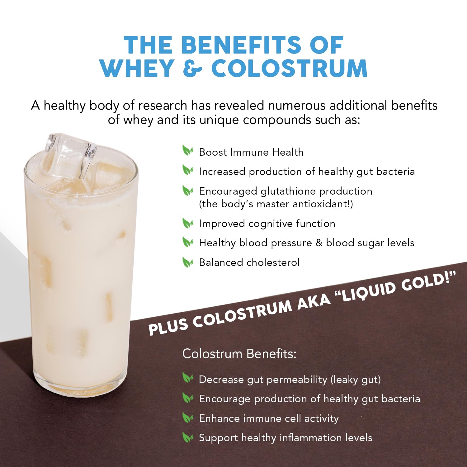 Paleovalley colostrum soutien immunitaire potentiel et bien-être intestinal