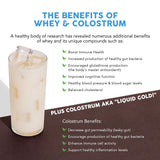Paleovalley colostrum soutien immunitaire potentiel et bien-être intestinal