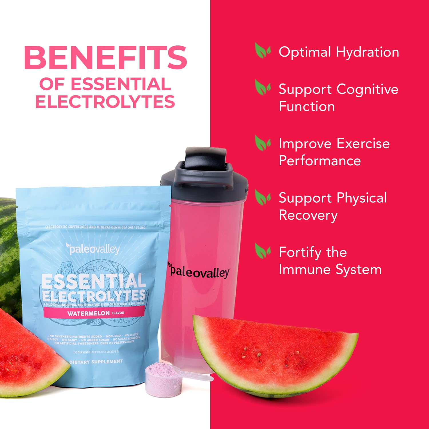 Paleovalley Électrolytes Mélon – doseur pratique pour dosages précis.