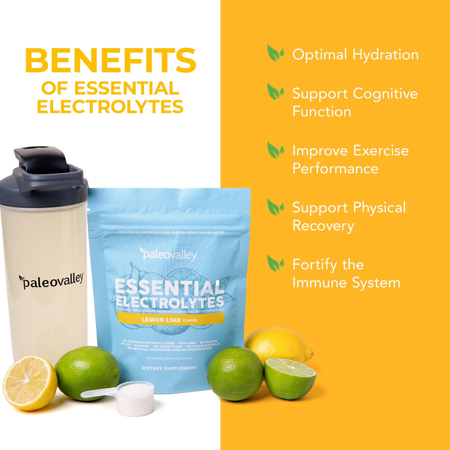 Sachet Paleovalley Électrolytes citron-lime pratique en déplacement