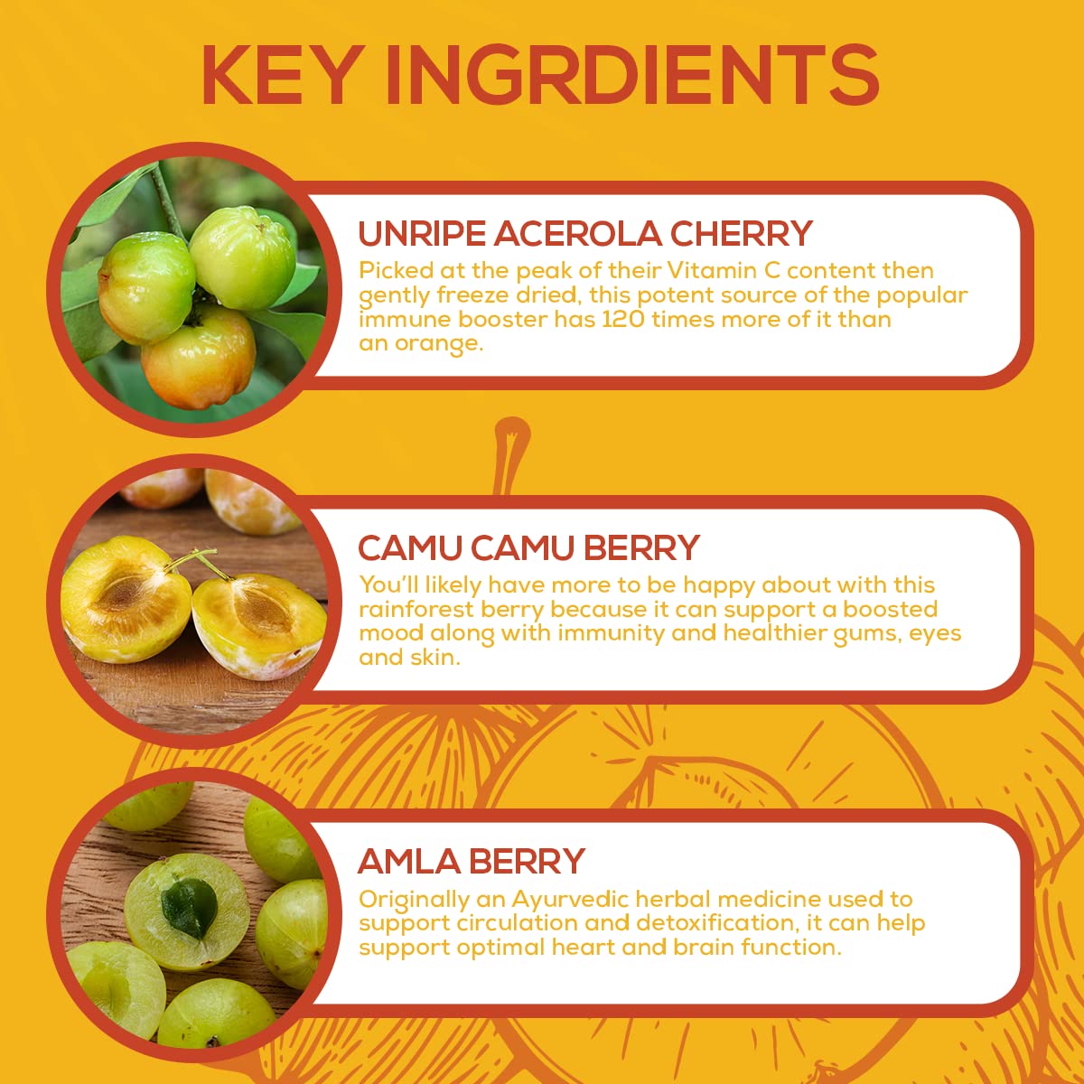Amla baie dans Paleovalley Essential C Complex – expérimentation quotidienne possible.