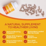 Camu camu dans Paleovalley Essential C Complex – riche en vitamine C naturelle.