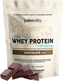 paleovalley protéine whey chocolat en poudre, prête à mélanger pour un shake nourrissant.