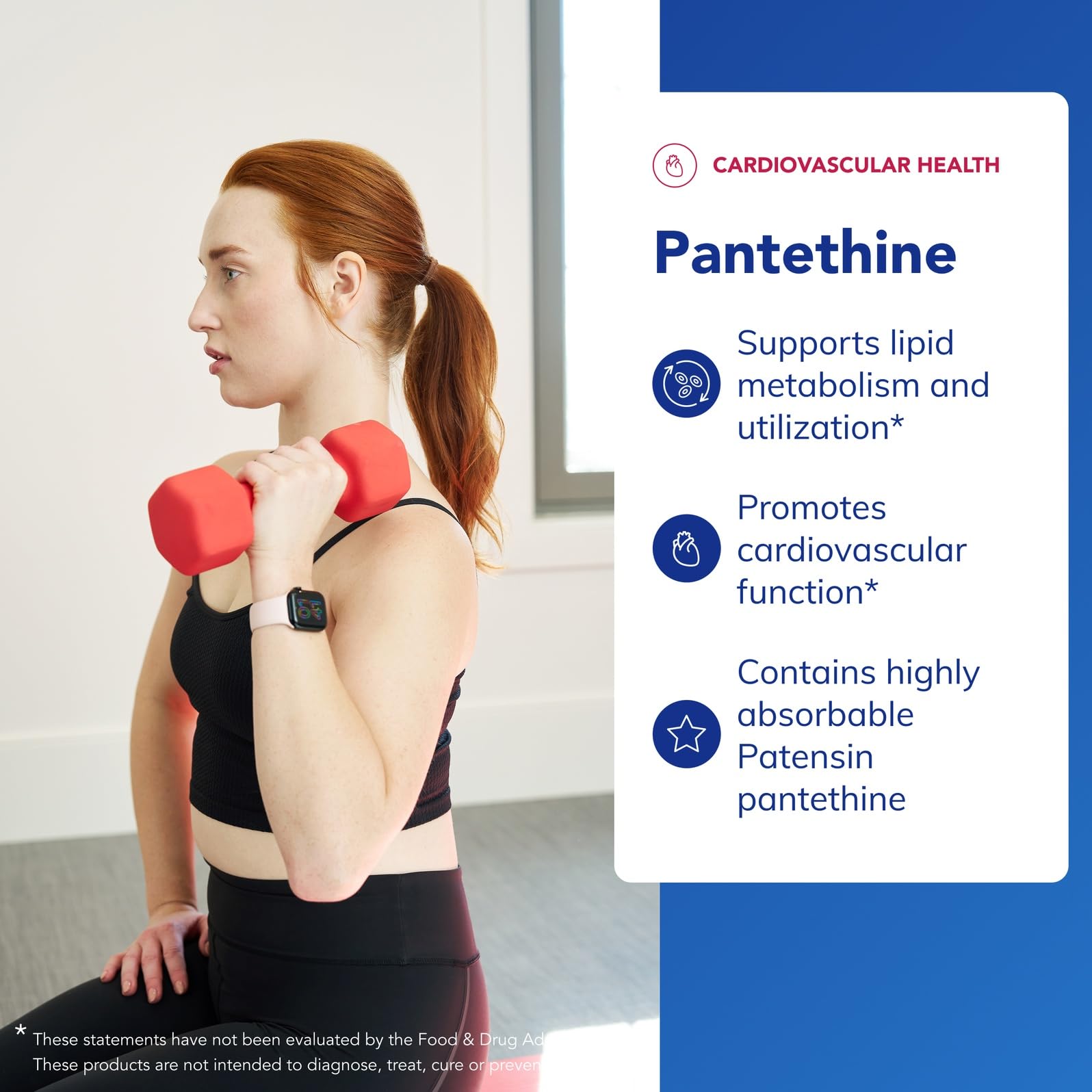 Pantethine et métabolisme des lipides – soutien potentiel du cycle lipidique.