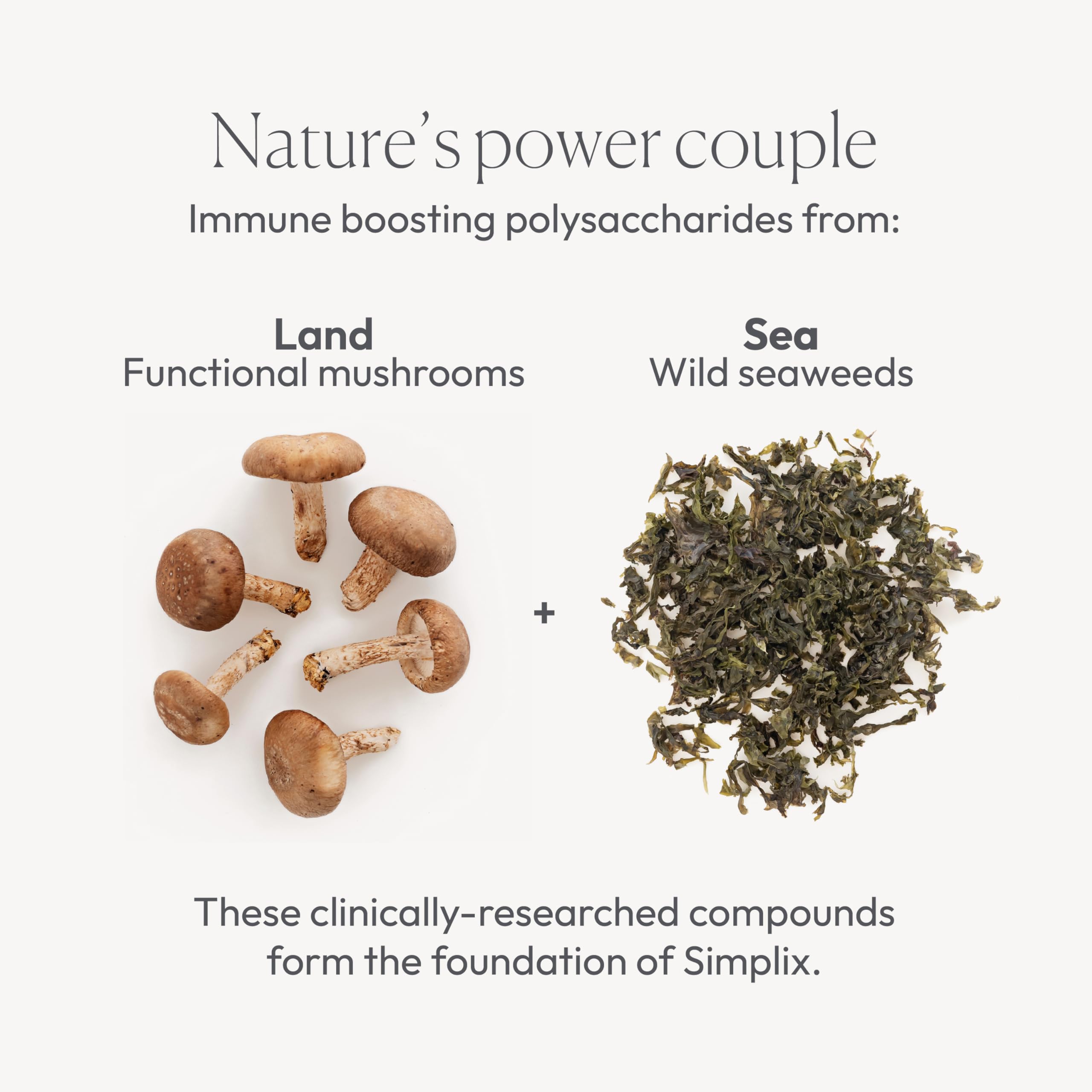 Papillex Simplix: champignons polysaccharides, nutriments pour le quotidien.