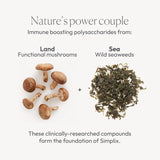 Papillex Simplix: champignons polysaccharides, nutriments pour le quotidien.