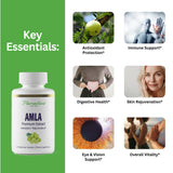 Paradise Herbs Amla – Capsules végétariennes pour une absorption facile et une utilisation quotidienne.