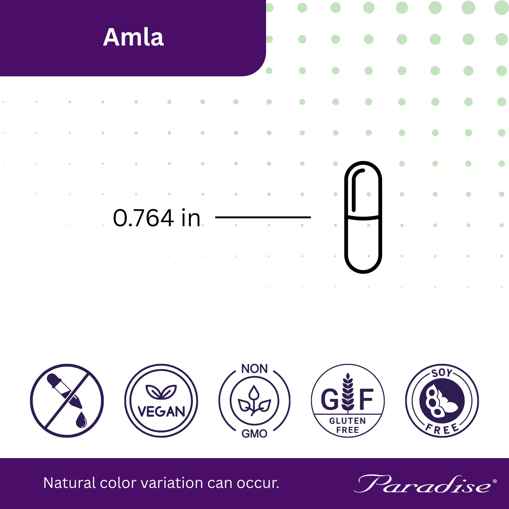 Paradise Herbs Amla – Étiquette produit affichant les normes de qualité et l’absence d’additifs.