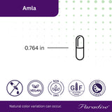 Paradise Herbs Amla – Étiquette produit affichant les normes de qualité et l’absence d’additifs.