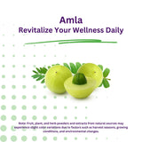 Paradise Herbs Amla – Fruit d’amla réel, source naturelle de vitamine C et phytonutriments.