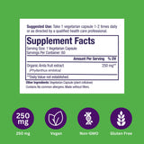 Paradise Herbs Amla – Capsules sans gélatine, formule bioaccessible et facile à digérer.