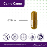 Paradise Herbs Camu Camu Extrait – usage quotidien, soutien naturel au bien être