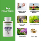 Capsules Banaba 250 mg Paradise Herbs, solution pratique pour l’usage quotidien