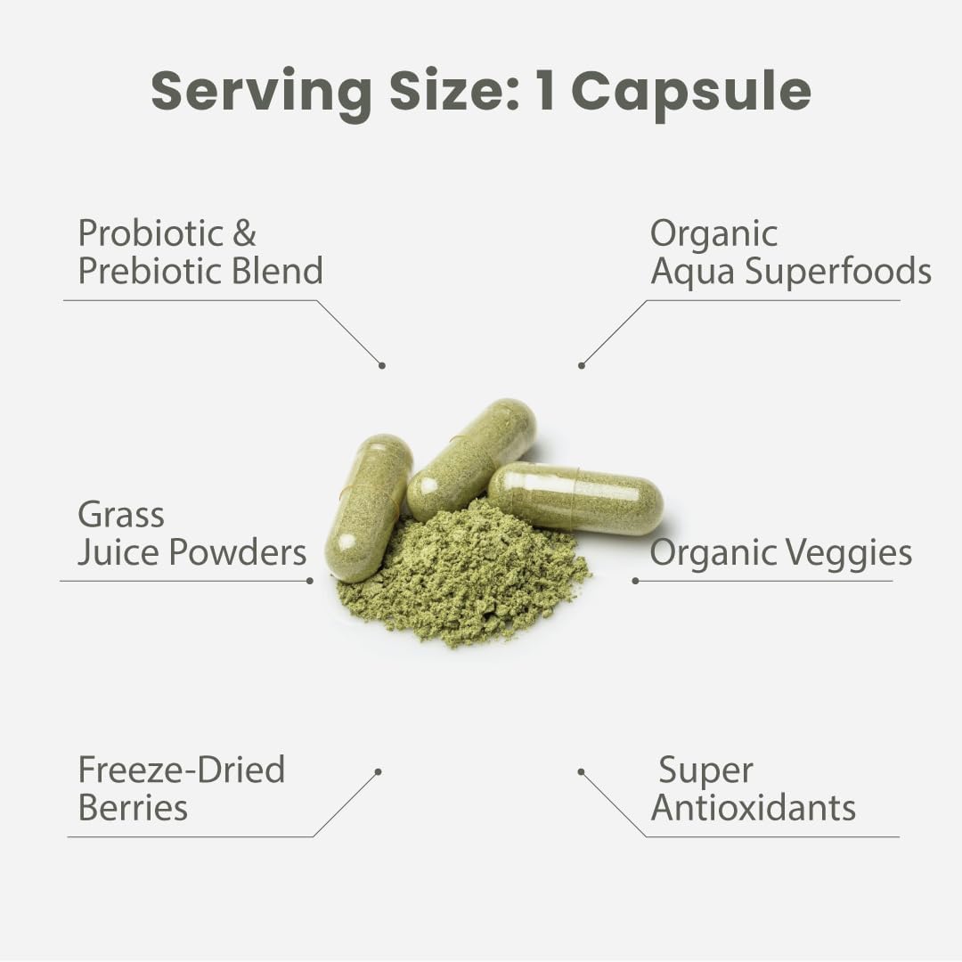 Paradise Herbs Earths Blend: fabrication cGMP et ingrédients bio et sauvages.