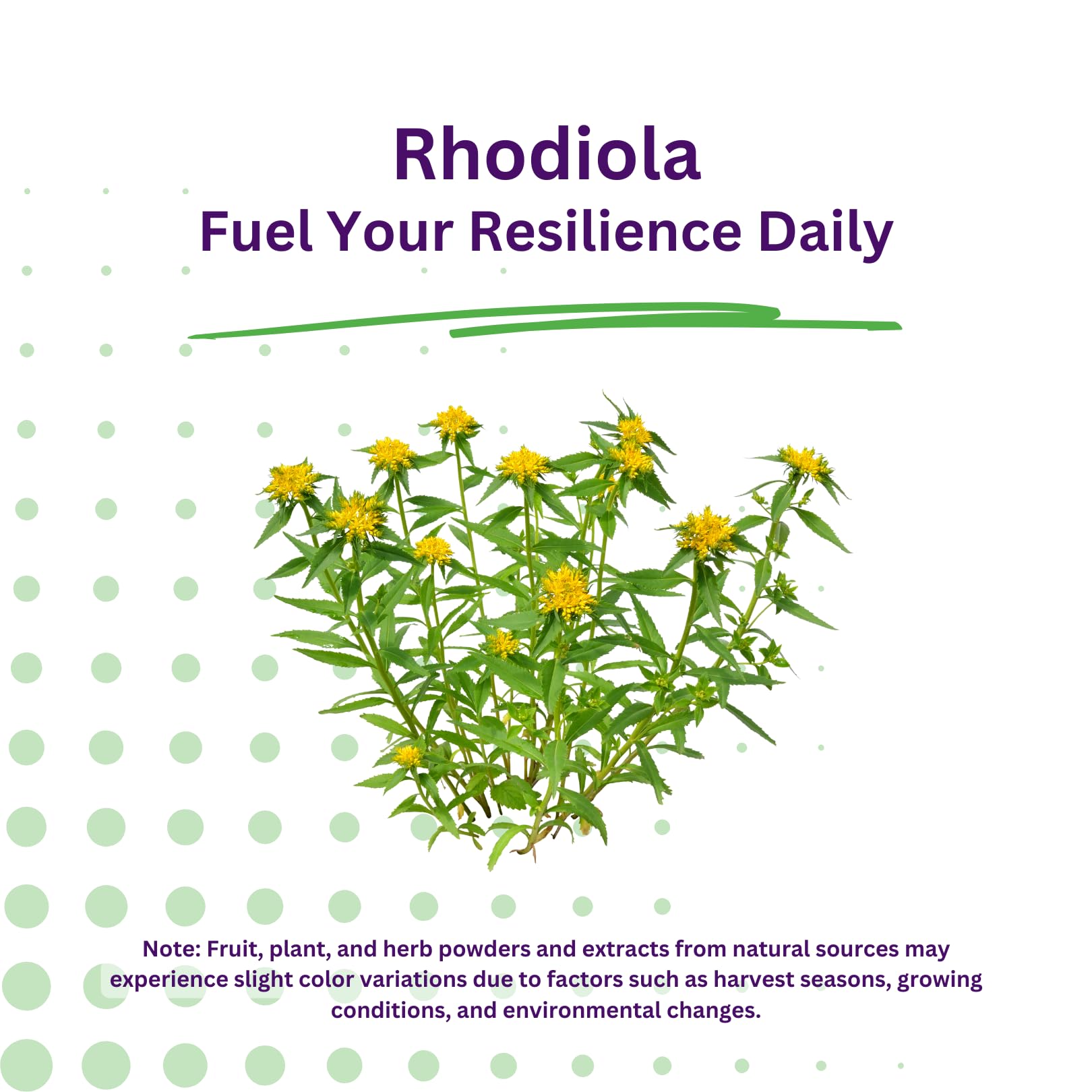 Formule vegan Paradise Herbs Rhodiola Extrait sans OGM et sans gluten.